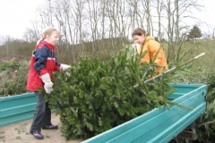 christbaumaktion_2007_20121208_1728280914