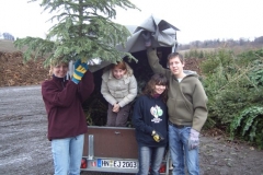 christbaumaktion_2008_20121208_1075724578