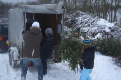 christbaumaktion_2010_20121208_1741152584