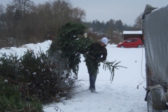 christbaumaktion_2010_20121208_1930846775