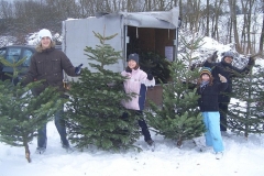 christbaumaktion_2010_20121208_1958325524