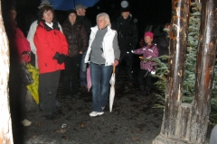 waldweihnacht_2012_20130123_1415856818