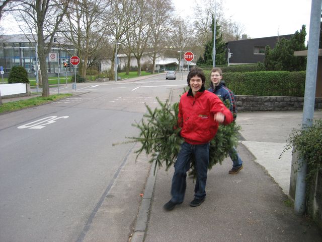 tannenbaum 088