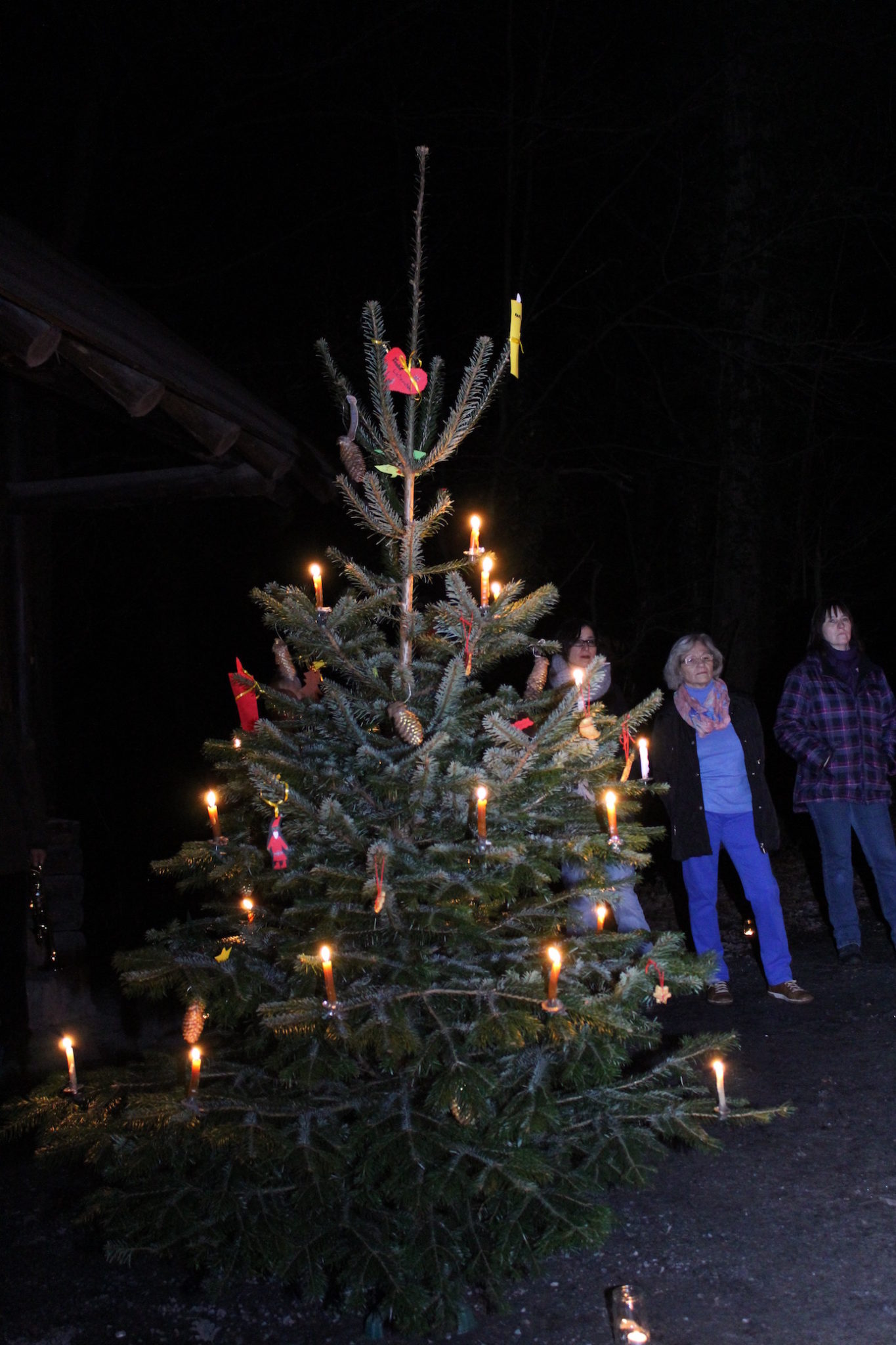 Waldweihnacht 2015 5